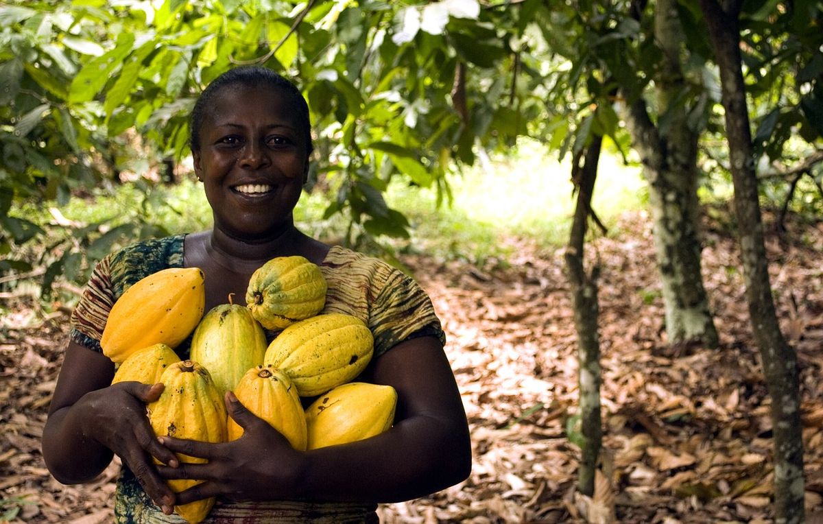 Course Image Test Turnitin