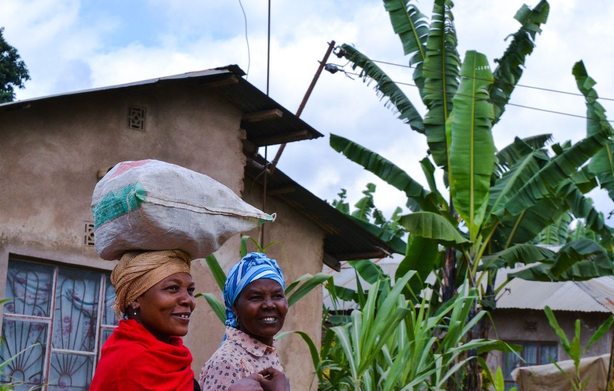 Course Image Antropologia Cultural de Moçambique 