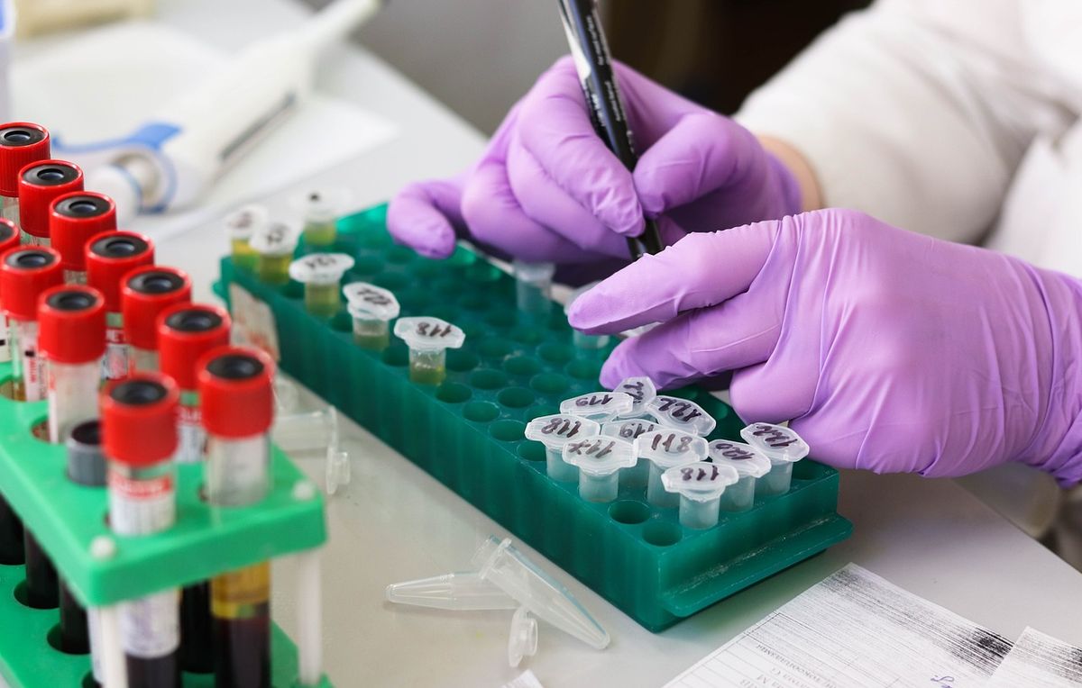 Course Image Patologia II