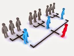 Course Image Estrutura, Organização, Funcionamento e Financiamento do Sistemas de Saúde